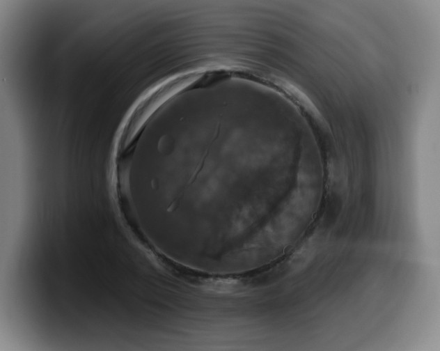 X0000099950784200805301235