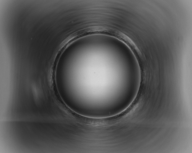 X0000099950786200805301235