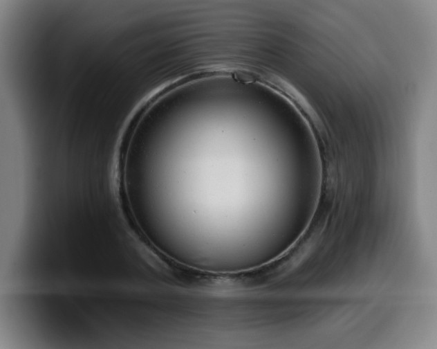 X0000099950787200805301235