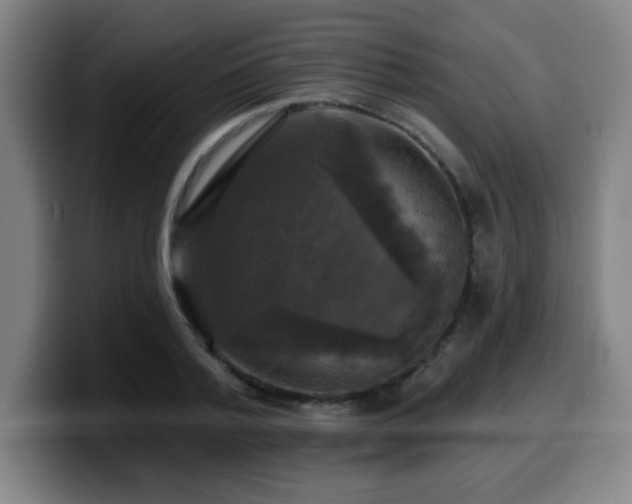 X0000099950788200805301235