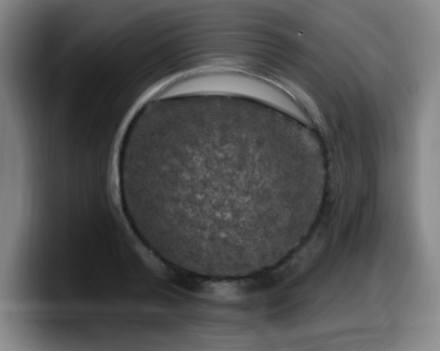 X0000099950792200805301235