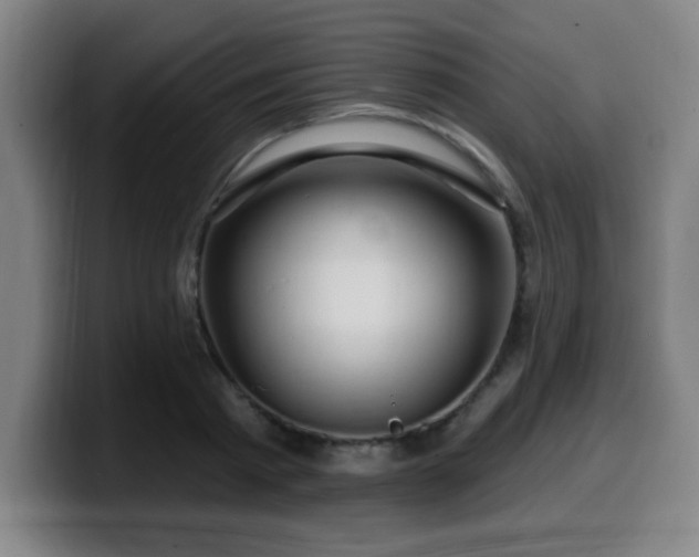 X0000099950793200805301235