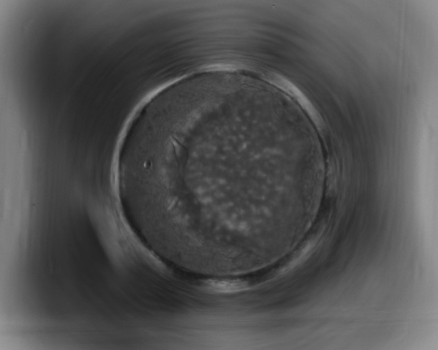 X0000099950795200805301235