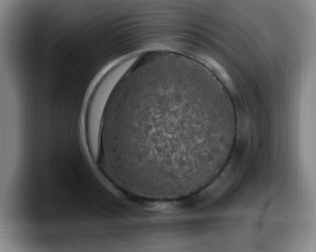 X0000099950796200805301235