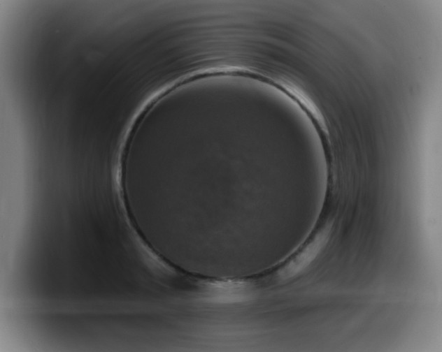 X0000099950797200805301235