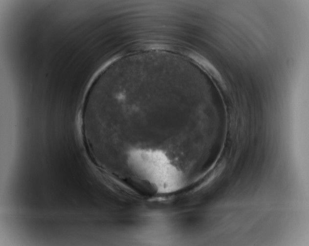 X0000099950798200805301235