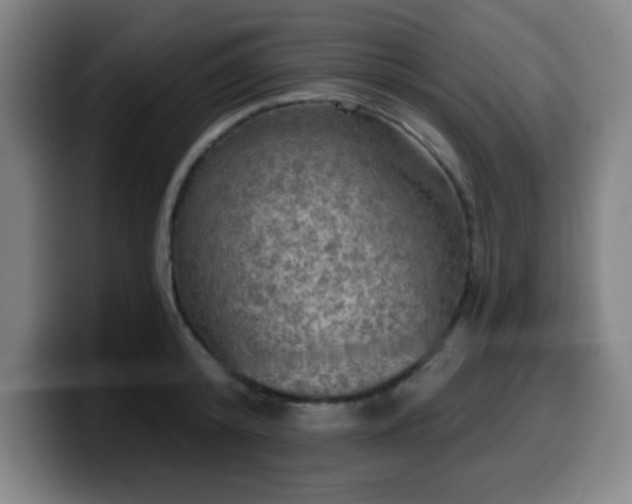 X0000099950800200805301235
