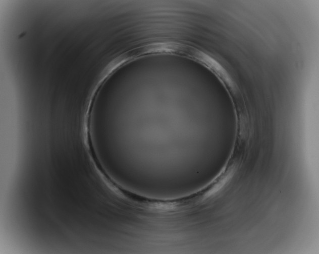 X0000099950802200805301235
