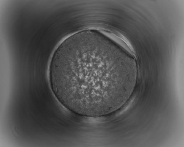 X0000099950803200805301235