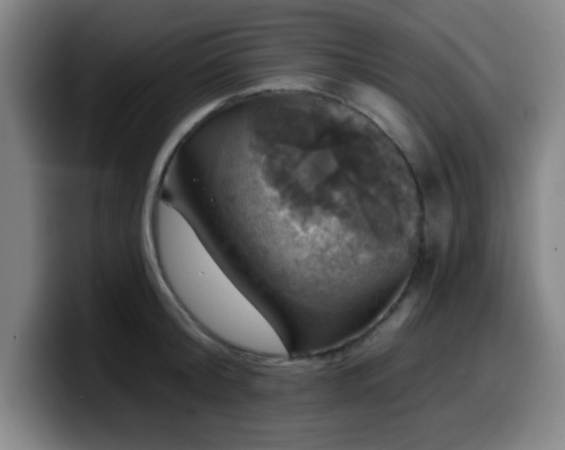 X0000099950804200805301235