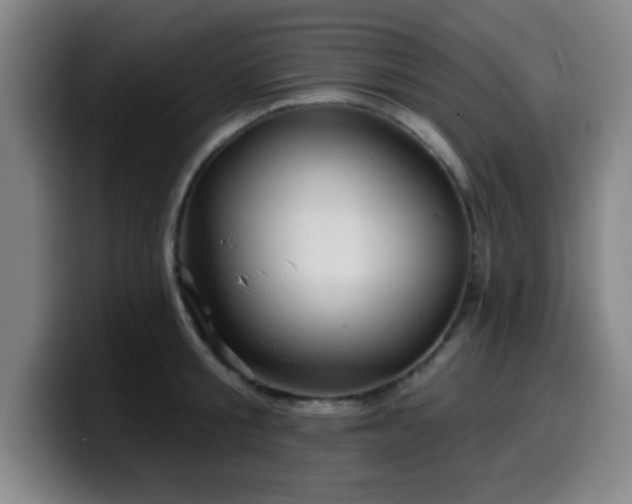 X0000099950805200805301235