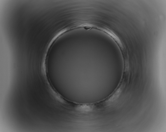 X0000099950806200805301235