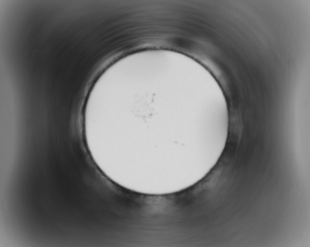 X0000099950807200805301235