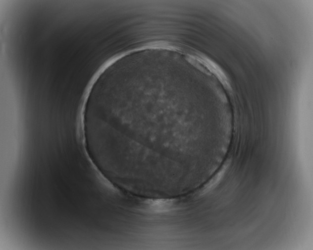 X0000099950808200805301235