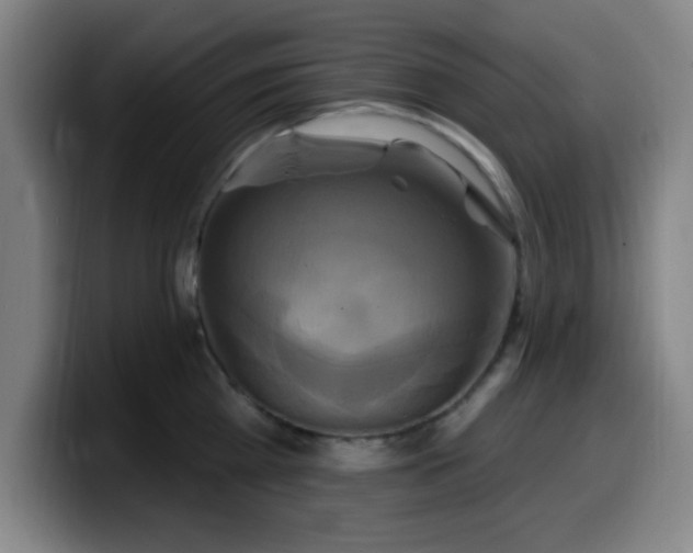 X0000099950809200805301235