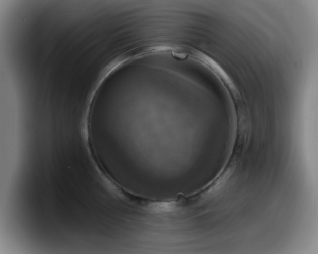X0000099950810200805301235