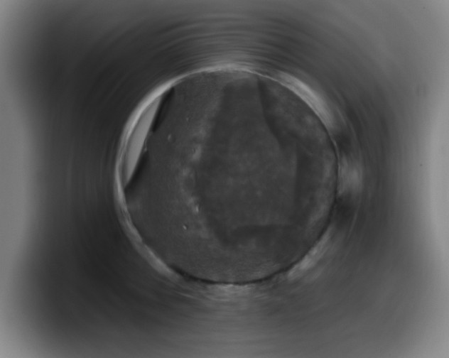 X0000099950812200805301235