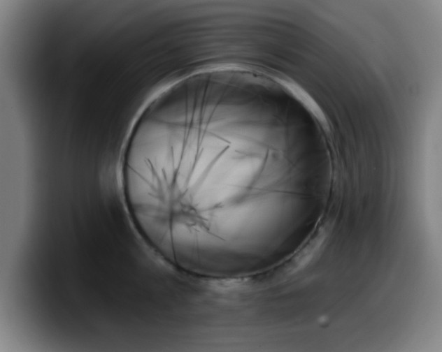 X0000099950813200805301235