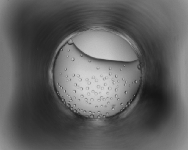 X0000099950814200805301235