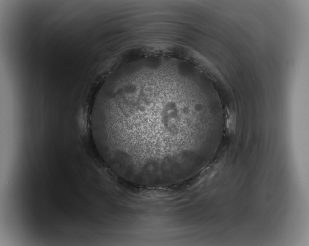 X0000099950819200805301234