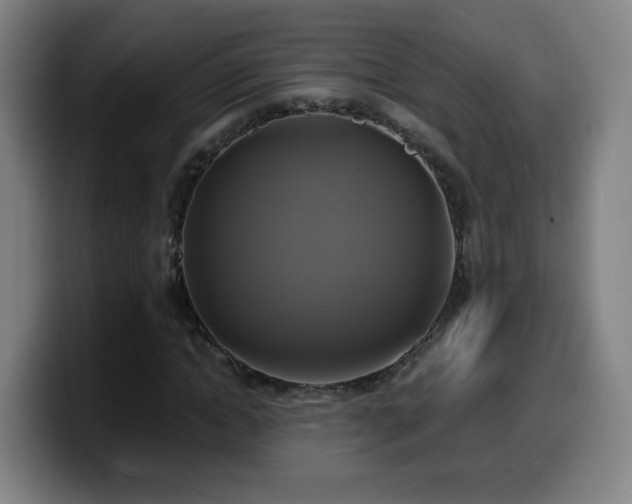 X0000099950822200805301234
