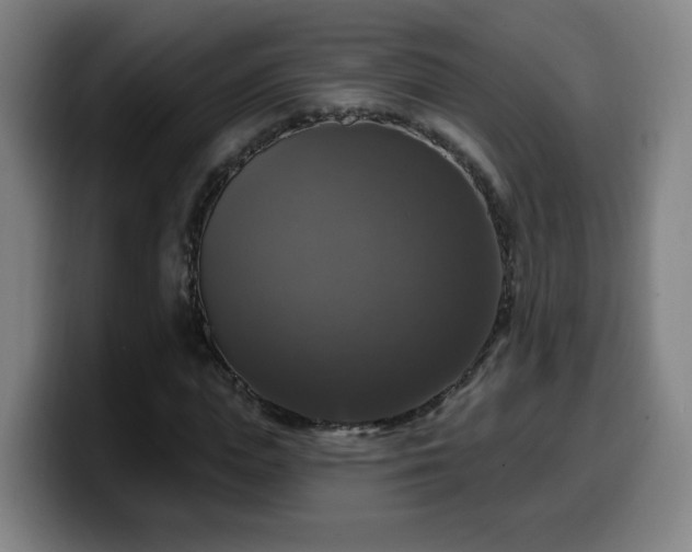 X0000099950823200805301234