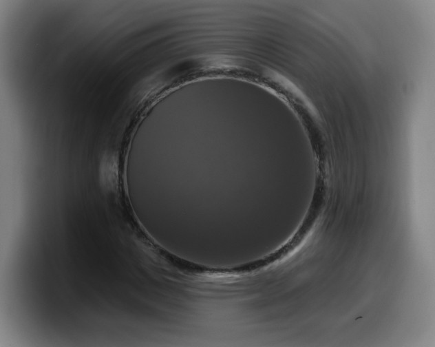 X0000099950825200805301234