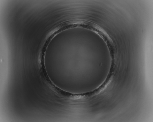 X0000099950826200805301234