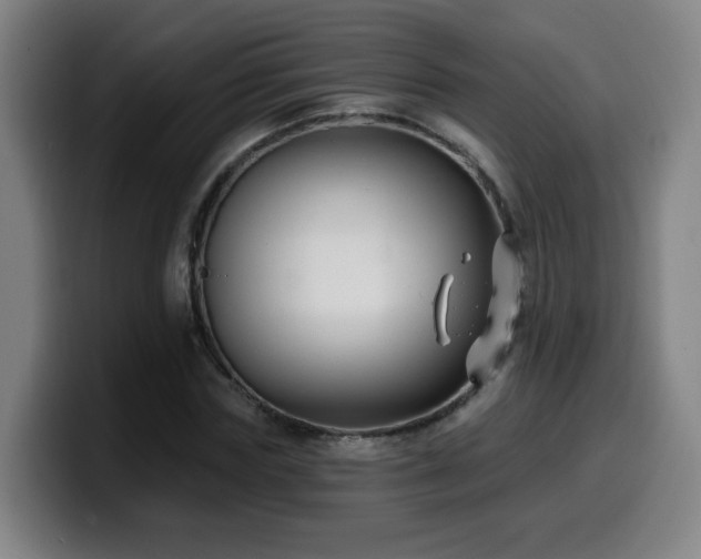 X0000099950827200805301234