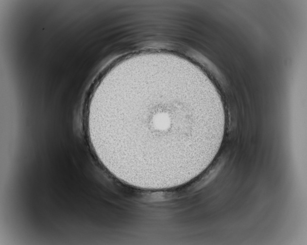 X0000099950828200805301234