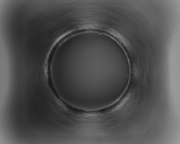 X0000099950830200805301235