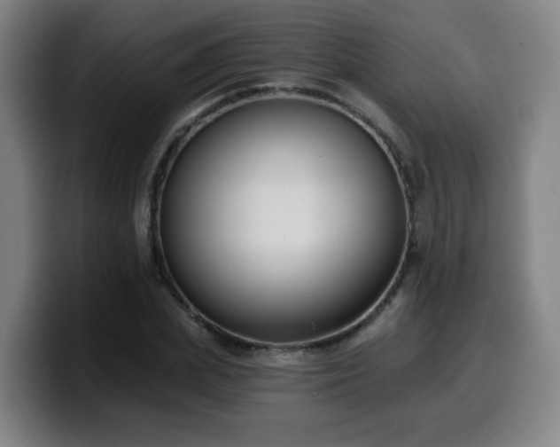 X0000099950831200805301235