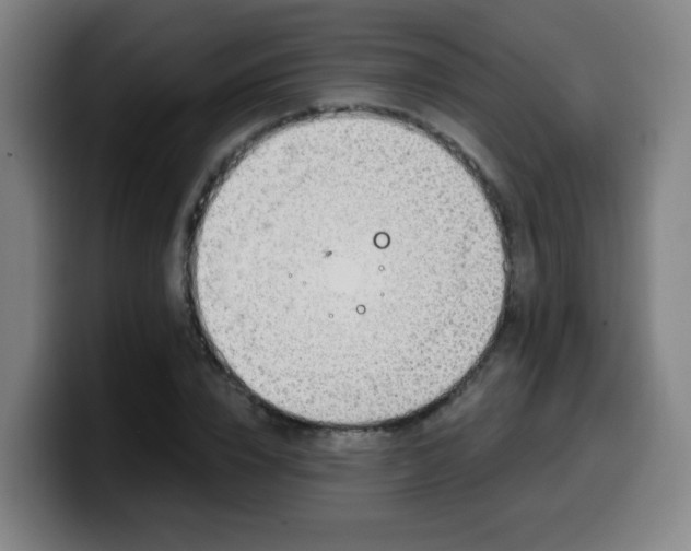 X0000099950832200805301235