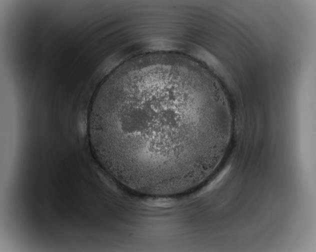 X0000099950833200805301235