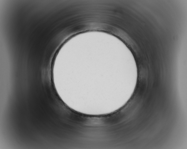 X0000099950836200805301235