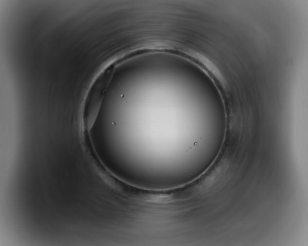 X0000099950837200805301235
