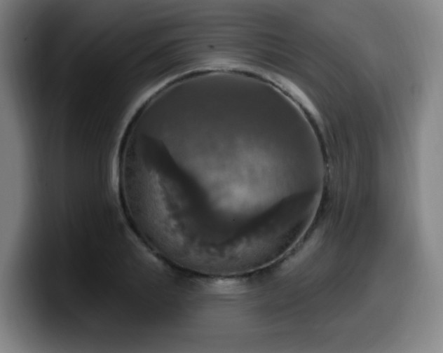 X0000099950839200805301235