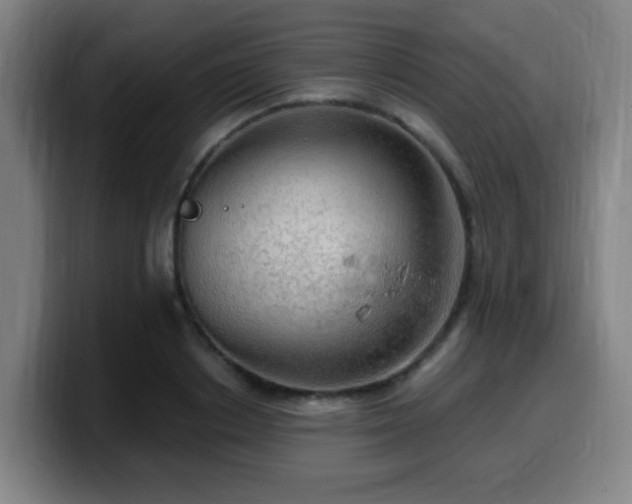 X0000099950842200805301235
