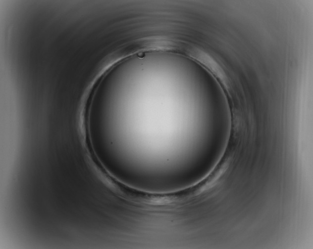 X0000099950843200805301235