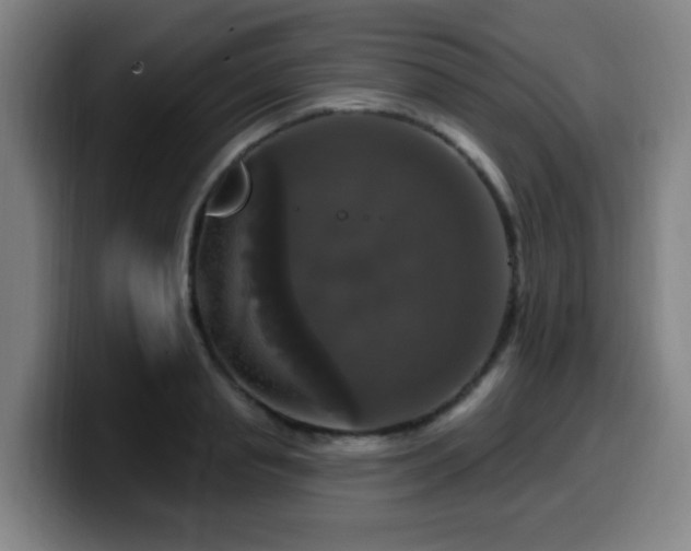 X0000099950845200805301235