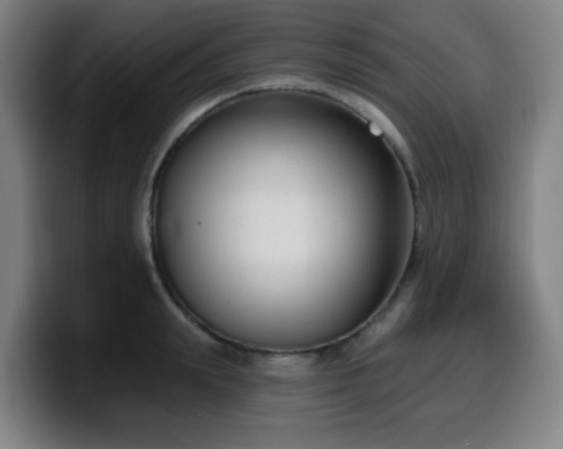 X0000099950847200805301235