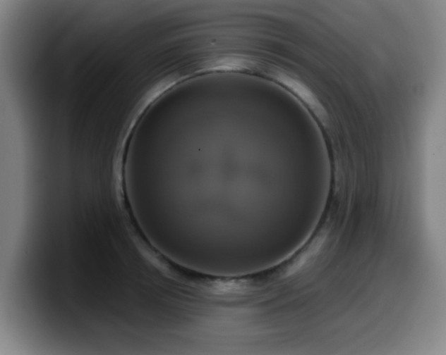 X0000099950850200805301235