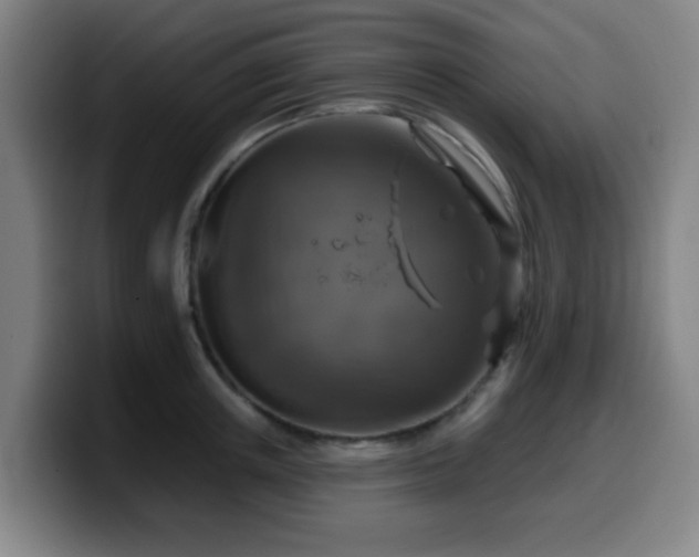 X0000099950851200805301235