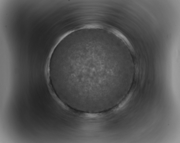 X0000099950852200805301235