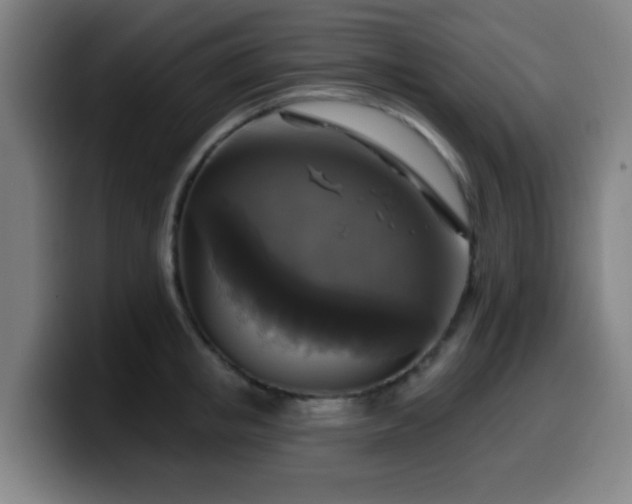 X0000099950853200805301235
