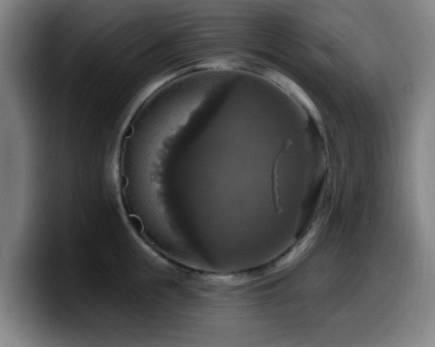 X0000099950855200805301235