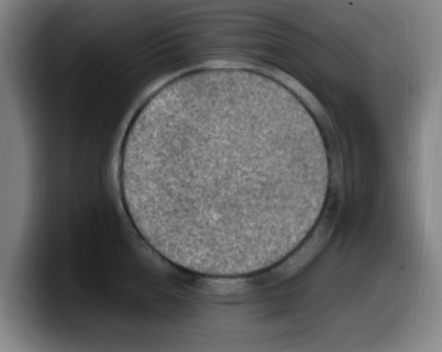 X0000099950856200805301235