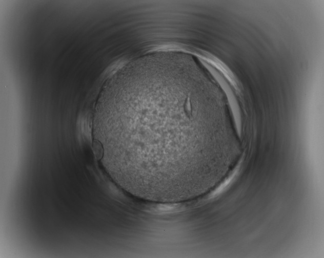 X0000099950857200805301235