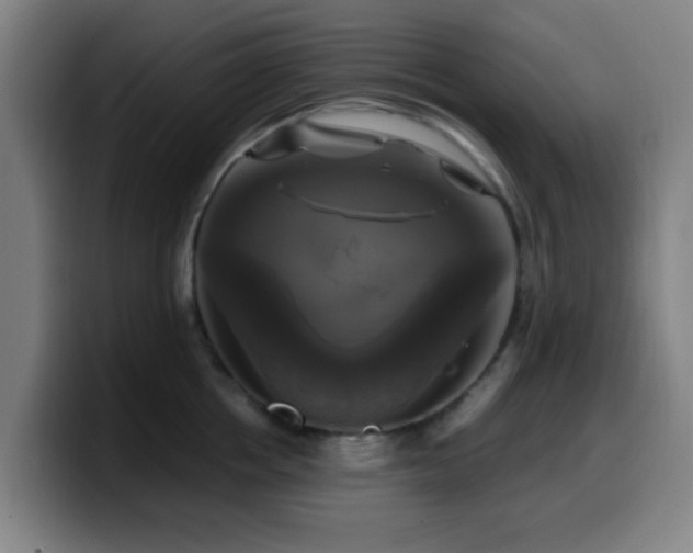 X0000099950858200805301235