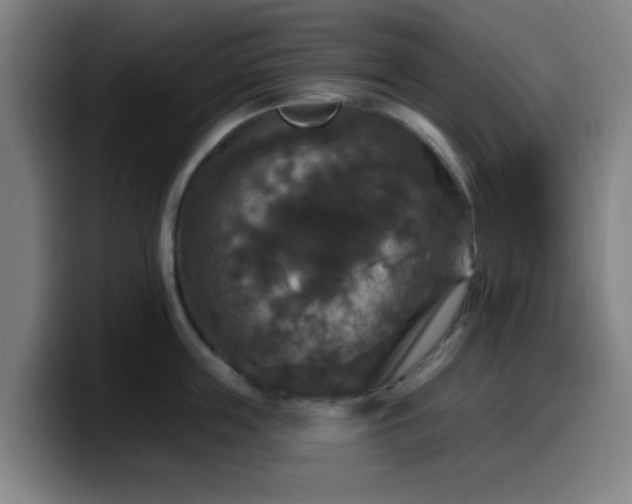 X0000099950859200805301235